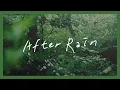 Download Lagu [Playlist] The Smell of Earth after Rain
