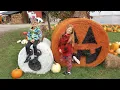 Beautiful fall colors at the Red Barn Farm pumpkin patch Eastern Upper Peninsula