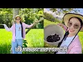 Download Lagu สองสาวไทยขืน พามาเก็บหอยตามธรรมชาติ