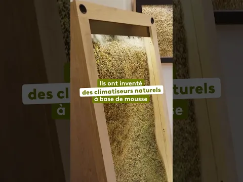 Ils ont inventé des climatiseurs naturels à base de mousse