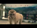 Mimosa - Maria Healey #mrmuxic, #mr muxic,