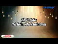 Download Lagu Meli Lida - Terlalu Mencintaimu | Video Lirik