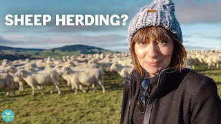 ADVENTURE TRAVEL IN NEW ZEALAND