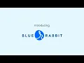 Blue Rabbit Features