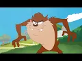 Lagu Tiny Toons Looniversity but only when Taz is onscreen
