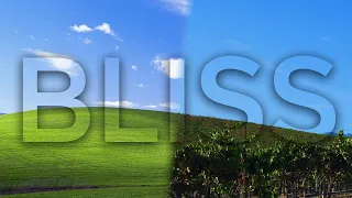 Bliss - The Story of Windows XP s Famous Default Wallpaper