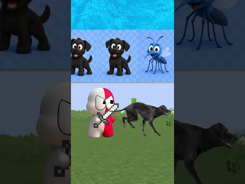 VIRANDO ANIMAIS PARA ASSUSTAR!