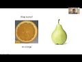 Morphology - Compounding and Morphological Processes