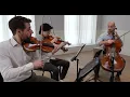 Debussy String Quartet, Mvt. 2: Scherzo [DOVER QUARTET]