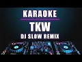 Download Lagu Karaoke TKW (Tenaga Kerja Wanita) Versi Dj remix