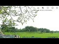 Download Lagu Najan Demen     -     Ini Damini