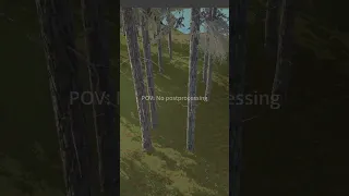 Post Processing VS No Post Processing
