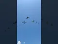 Download Lagu B-2, B-1, B-52 and FOUR escort Flyover! #aviation #military #airshow