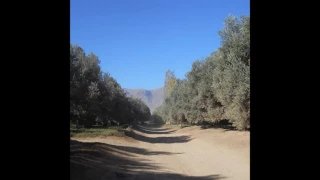 6 قصيدة وصليت في الثانية على خير خلقه محمد المبعوث بالفتح والنصر 