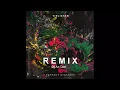 Tinlicker - Perfect Mistake (Remix An Deé)