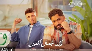 ملكة جمال الكون تامر حسني و الشامي 2025 