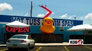 Things ABQ criminals will target Cars banks ducks