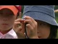 The Fascinating World of Insects | Full Documentary