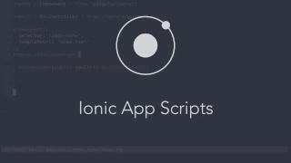 Ionic App Scripts Error Reports