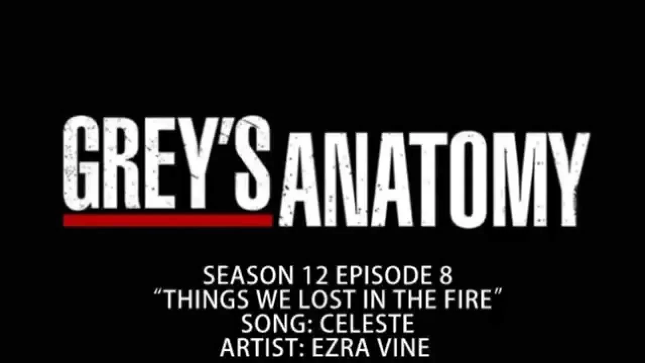 Grey's Anatomy S12E08 - Celeste by Ezra Vine