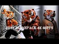 Kung Fu Panda 3 Tigress Full Scenepack 4K 60FPS