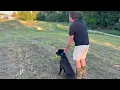Thrive in Drive with Finn - 7 Months