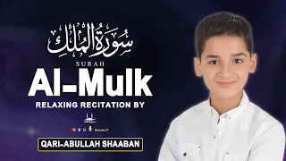 Surah Al Mulk سورة الملك By Abdullah Ahmed Shaaban New Beautiful Quran Recitation Habibullah TV 