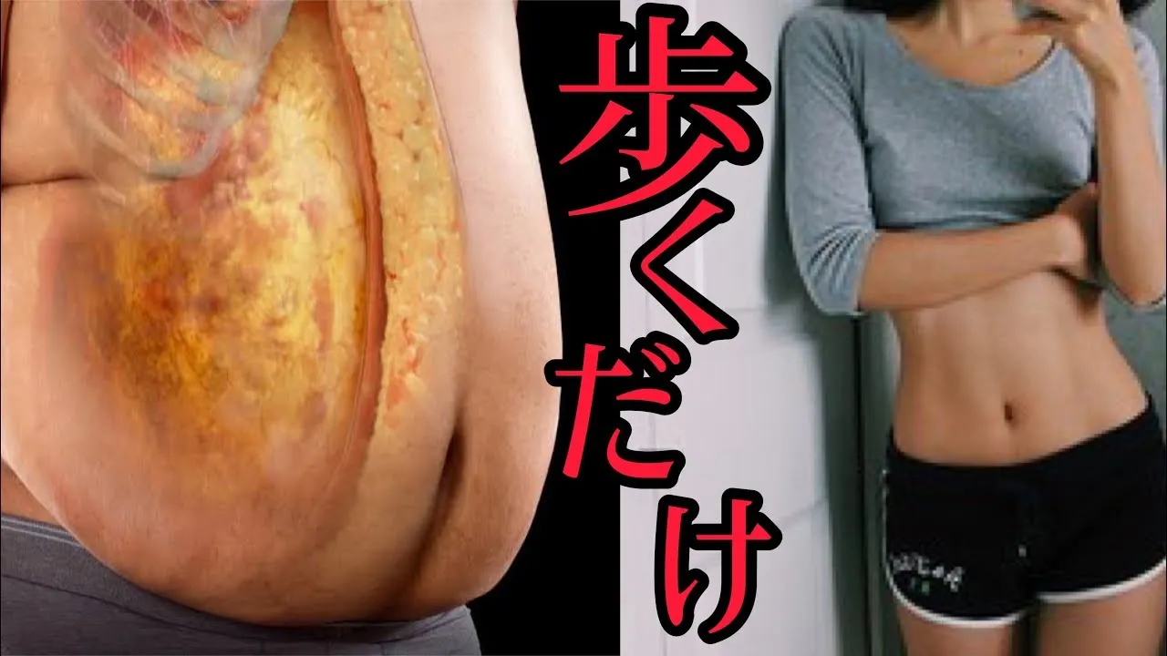 【５分】歩きながらダイエット！お腹痩せと脚やせする歩き方が判明！ズボラストレッチ