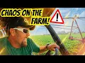 Download Lagu CHAOS on the Farm! Everything Went Wrong Today…