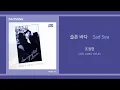 조정현 - 슬픈 바다 / Cho Jung Hyun - Sad Sea / 가사