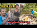 Download Lagu Sungguh tak mengira seberuntung ini || spot hutan rawa terminalnya para ikan