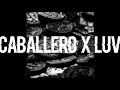 BLANCO - CABALLERO , LUV RESVAL