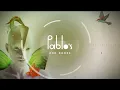Deepend X Madism - Hold This Memory (Official Visualizer)