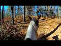 OK TRADING POST MOUNTAIN VIEW AR