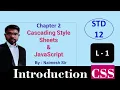 STD 12 Computer Ch 2 Cascading Style Sheets and JavaScript