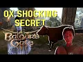 Unbelievable The Hidden Ox Secret in Baldur s Gate 3 REVEALED