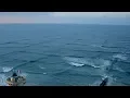 Download Lagu If You See Square Waves In The Ocean Get Out Of The Water Immediately