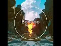 Bonobo - No Reason (feat. Nick Murphy)