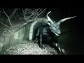 aiCCTV: The Sewer Tunnels | Oskar Schuster - "Wunderland" 🎶