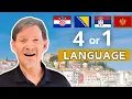 Are Montegrin Serbian the SAME LANGUAGE