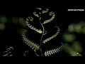 Мощная Всеисцеляющая Матрица Гаряева ☀️ Мощное Исцеление Всего Организма ☀️ Регенерация Всего Тела
