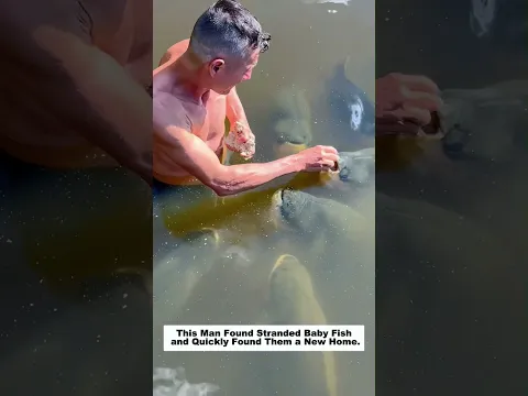 This Man Found Stranded Baby Fish and Quickly Found Them a New Home.