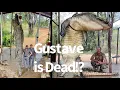 Download Lagu Gustave: Truth Behind the Killer