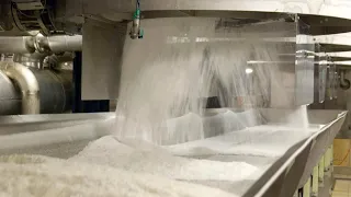 How Sugar Is Made