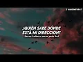Alan Walker, KING - Story of a Bird (Sub Español + Lyrics)