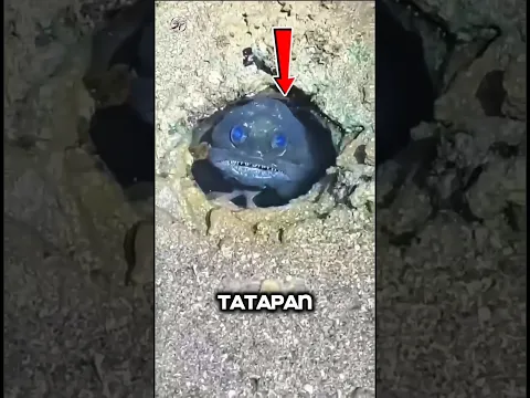 Ikan Bermata Biru Ini Menyimpan Kejutan Misterius #scary #shorts #hantu