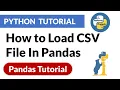 How to Load CSV file In Pandas Pandas Python Tutorial PyPower