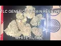 White Runtz Cannabis Flower Strain Review The TLC Genetic Show