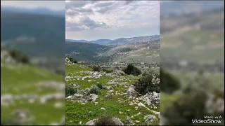 صباح الخير يا جنوب في القلب    دندنها
