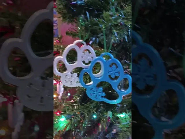 Christmas Dog Paw Print Ornament video thumbnail
